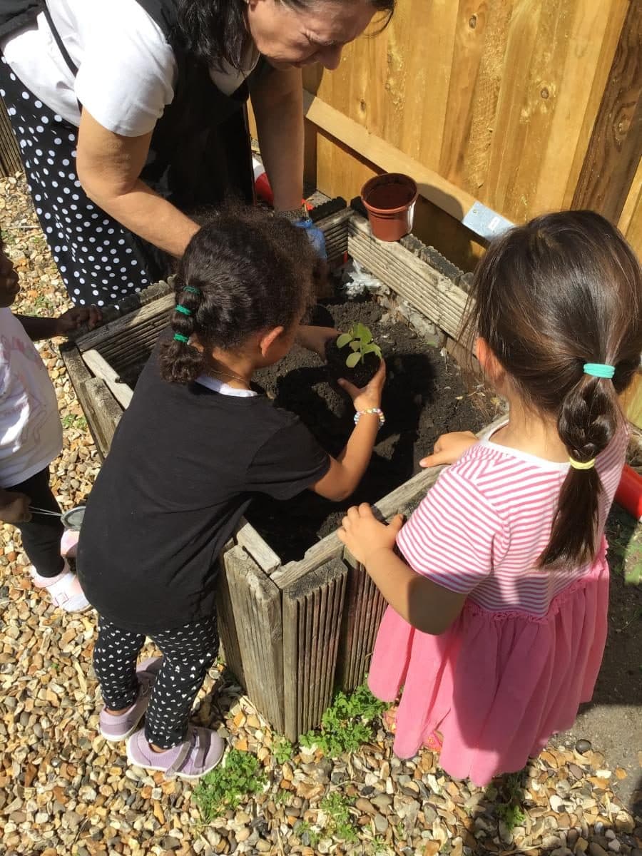 destiny haven nursery children planting seedlings in a raised wooden gar